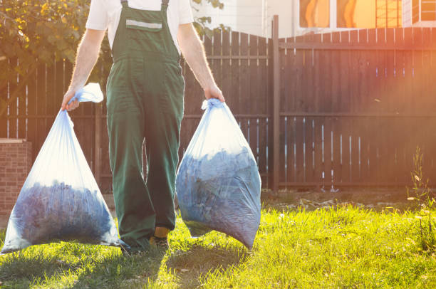 Professional Junk Removal Services in Cheval, FL